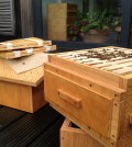Open Source Beehive outside